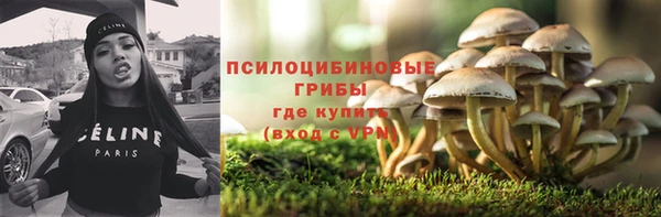 стафф Алексеевка